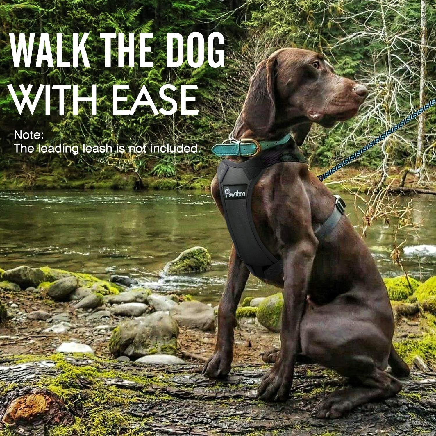 Adjustable Dog Safety Vest Harness Small to Medium Pets (BLACK)